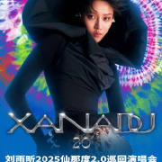 海外华人看不了刘雨昕演唱会直播?3招解决爱奇艺地区限制,告别卡顿画质渣
