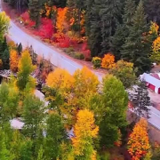 海外华人必看!3招教你突破地区限制,畅享国内影视音乐