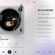 海外党如何解锁许巍演唱会?3招教你突破地域限制重温青春旋律