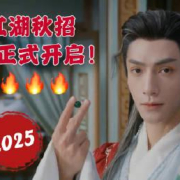 海外华人追剧困扰全解析:从技术大牛跳槽看如何破解地区限制难题