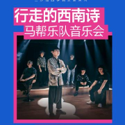 海外华人如何突破地区限制观看马帮乐队音乐会直播完整攻略