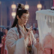 海外追剧党必看!3招教你破解地区限制,轻松观看《水龙吟》等热播剧
