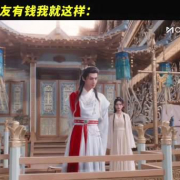 海外华人追剧困扰大揭秘:三招教你突破地区限制,轻松观看国内热门影视
