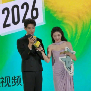 海外华人必看:轻松解除国内视频平台地区限制全攻略