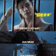 海外追剧不再愁!3招教你解锁国内影视资源限制