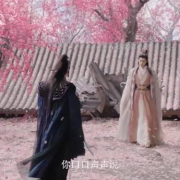 海外华人必看!《水龙吟》唐俪辞与柳眼幻境对决,教你如何突破地域限制追剧