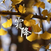 京津冀霜降美景惊艳亮相!海外华人如何突破限制在线观赏绝美秋色?