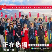 海外华人必看!轻松解除中国大陆影视音乐地区限制全攻略