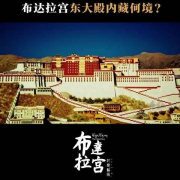 海外华人必看:三步解锁国内影视资源,告别地区限制烦恼