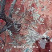 海外追剧党必看!3招解决视频地区限制,轻松追《水龙吟》名场面