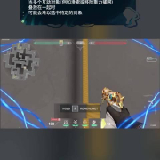 海外华人如何畅玩《无畏契约》国服游戏