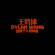 海外追星族必看:三步教你解锁国内热门影视音乐,王鹤棣新歌不再错过!