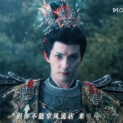 海外华人追剧困扰多?这些方法帮你破解地区限制,畅享国内影视资源