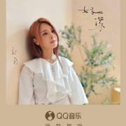 海外华人必看!3招解决爱奇艺、QQ音乐地区限制,轻松追剧听新歌