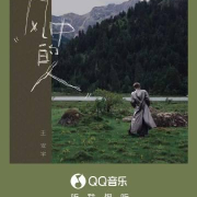 海外华人必看!一招解决爱奇艺、QQ音乐地区限制,追剧听歌不再愁