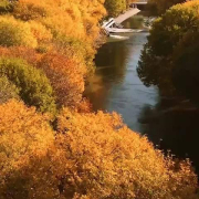 海外华人必看:三步解锁国内影视资源,海外也能追剧无压力