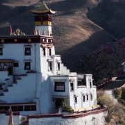 海外华人如何突破地区限制?布达拉宫纪录片揭秘红宫建筑背后的千年奥秘