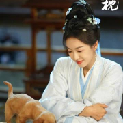 海外追剧不再愁!手把手教你解除地区限制看国产影视