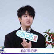 海外追剧党必看!3招教你破解地区限制,轻松追敖子逸新剧