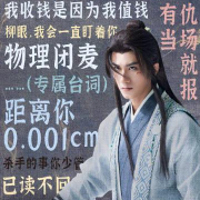 《水龙吟》热梗刷屏!海外华人如何解锁弹幕江湖?