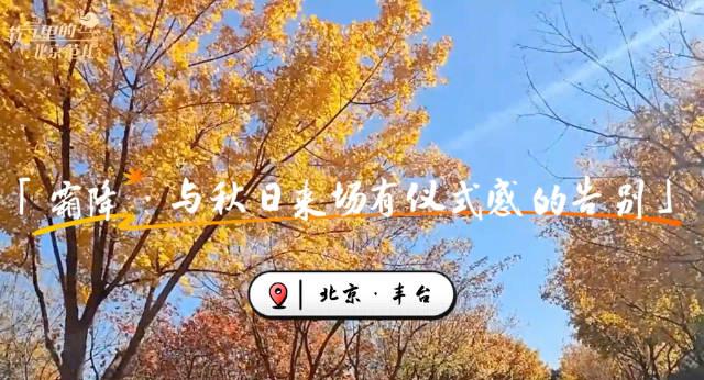 海外华人必看!三步教你解锁国内影视资源,告别“地区限制”烦恼 1 海外华人必看!三步教你解锁国内影视资源,告别“地区限制”烦恼