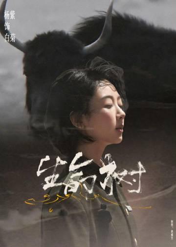 海外追剧党必看!手把手教你解锁杨紫新剧《白菊警官》地区限制 3 海外追剧党必看!手把手教你解锁杨紫新剧《白菊警官》地区限制