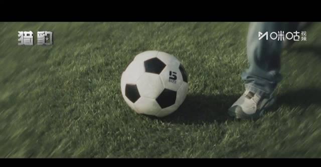 海外追剧党必看!《猎豹》今日收官,这些方法让你不再错过精彩结局 1 海外追剧党必看!《猎豹》今日收官,这些方法让你不再错过精彩结局