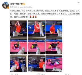 樊振东全运会霸气卫冕!教练吴敬平揭秘后三局碾压式胜利的战术密码 1 樊振东全运会霸气卫冕!教练吴敬平揭秘后三局碾压式胜利的战术密码