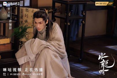 《水龙吟》热播引热议!海外华人追剧攻略大揭秘 2 《水龙吟》热播引热议!海外华人追剧攻略大揭秘