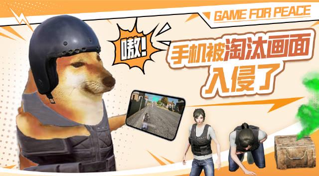 海外华人追剧崩溃瞬间:当你的屏幕突然卡在淘汰画面无法播放时 1 海外华人追剧崩溃瞬间:当你的屏幕突然卡在淘汰画面无法播放时