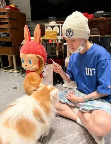 海外追剧党必看!3招教你轻松解锁国内影视资源限制 1 海外追剧党必看!3招教你轻松解锁国内影视资源限制