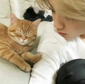 海外追剧党必看!3招教你轻松解锁国内影视资源限制 2 海外追剧党必看!3招教你轻松解锁国内影视资源限制