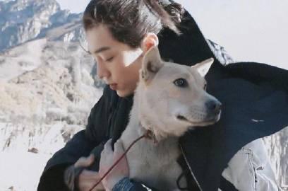 海外华人追剧遇阻?肖战暖心抱狗视频都看不了,这些方法帮你解决地区限制 2 海外华人追剧遇阻?肖战暖心抱狗视频都看不了,这些方法帮你解决地区限制