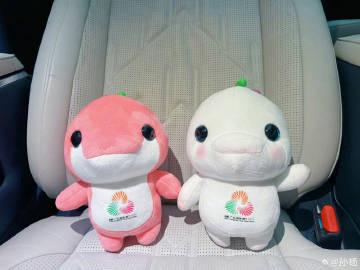 海外华人如何突破地区限制观看全运会?孙杨复出引爆观赛热潮 2 海外华人如何突破地区限制观看全运会?孙杨复出引爆观赛热潮