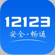 海外打不开交管12123?处理违章、年检验车进不去?这份官方渠道操作指南请收好 2 海外打不开交管12123?处理违章、年检验车进不去?这份官方渠道操作指南请收好