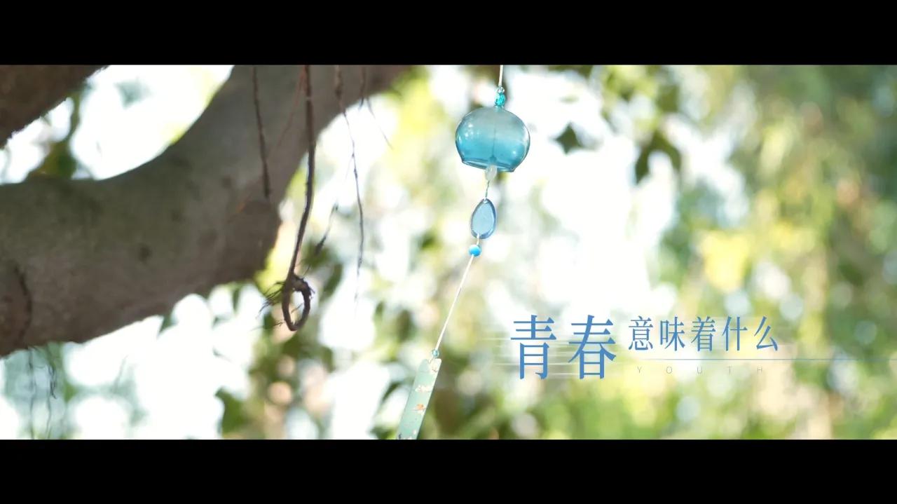 海外华人必看！一招解除微博影视综艺地区限制，再也不用担心《焕羽》青春特辑看不了！