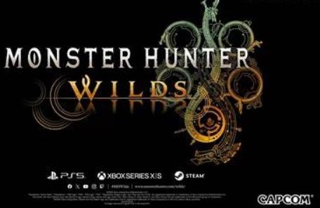 海外玩怪物猎人荒野总卡顿?这些降延迟方法快 get