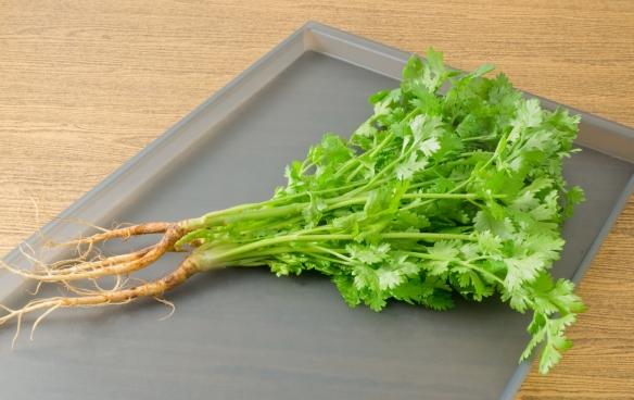 世界讨厌香菜日:为什么有些人对香菜深恶痛绝?