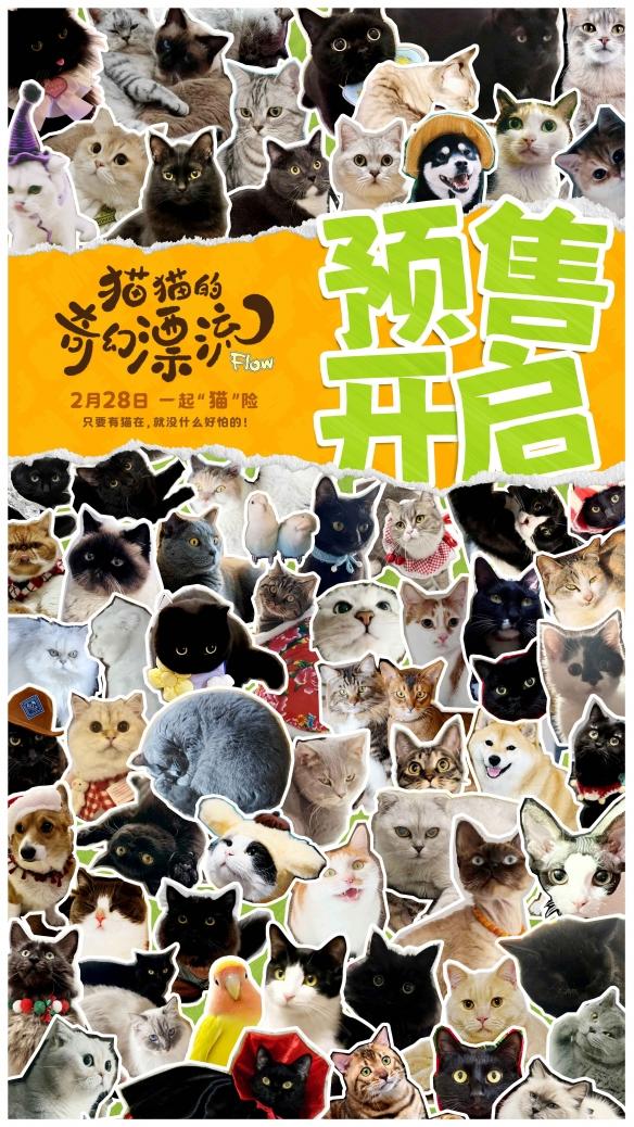 奥斯卡提名动画《猫猫的奇幻漂流》预售开启,开启奇幻冒险之旅!