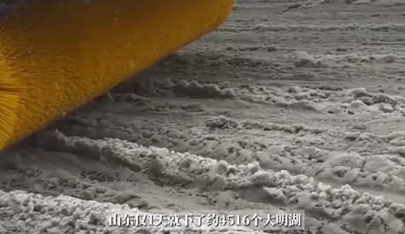 山东普降喜雨:一天降水量相当于4516个大明湖!