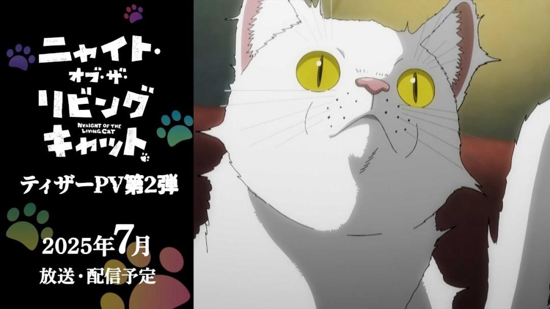 《活尸猫之夜》动画定档2025年7月,人类变猫危机来袭!