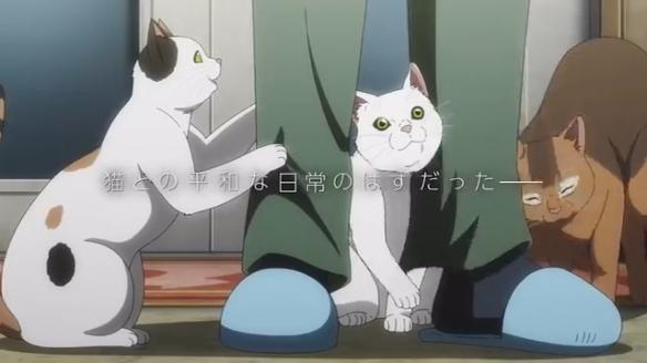 《活尸猫之夜》动画预告发布,2025年7月开播!