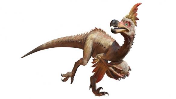 搔鸟:新大陆的滑稽小偷与生态平衡者