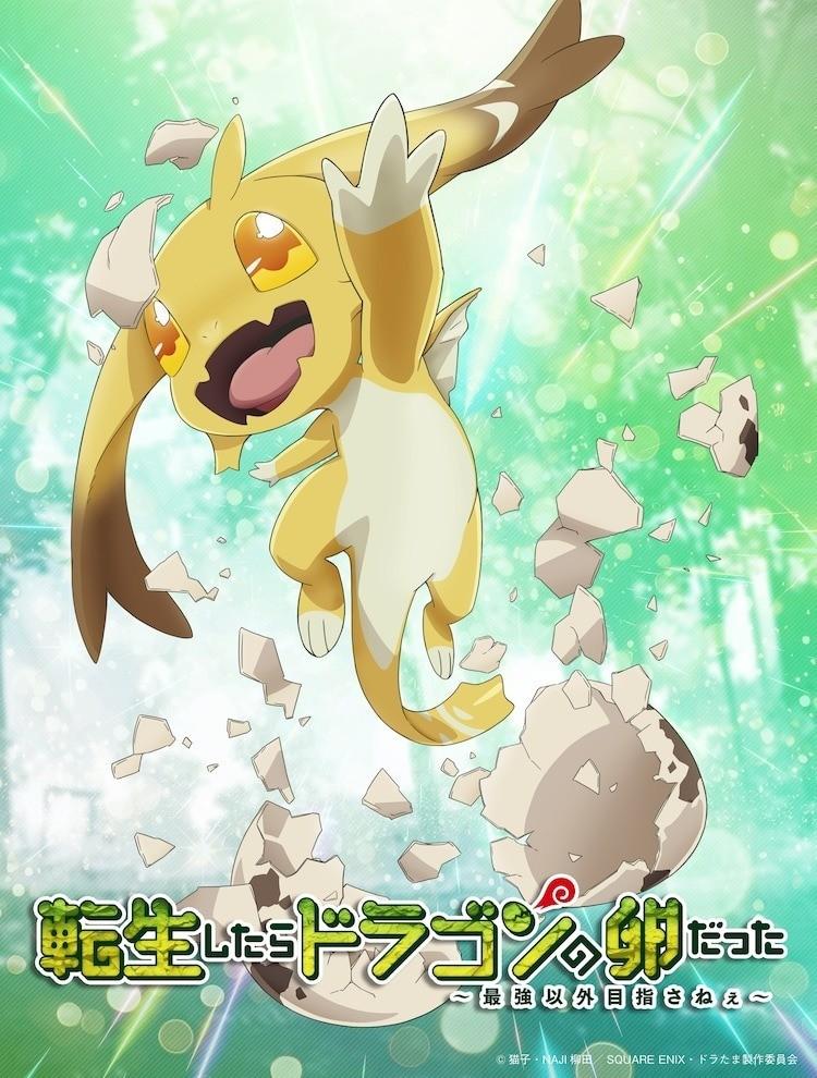 《转生之后的我变成了龙蛋》动画化决定!土岐隼一、小清水亚美等加盟配音