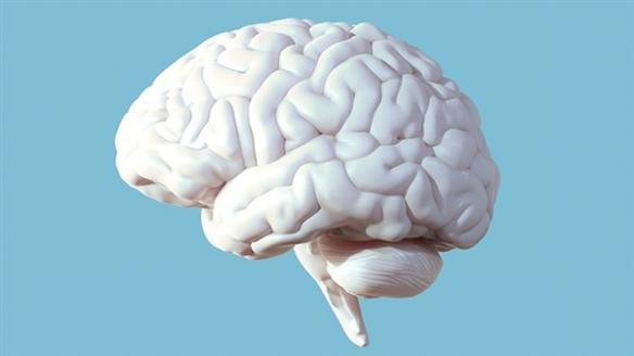 视觉媒体盛行,人类智力水平下降?