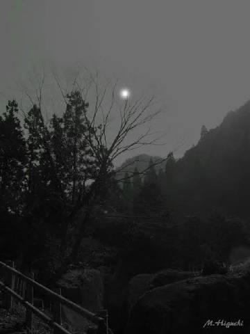 《寂静岭f》将恐怖舞台搬到日本乡村,灵感源自岐阜县金山町