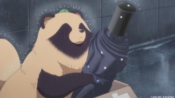 《和雨·和你》动画2025年7月暖心来袭