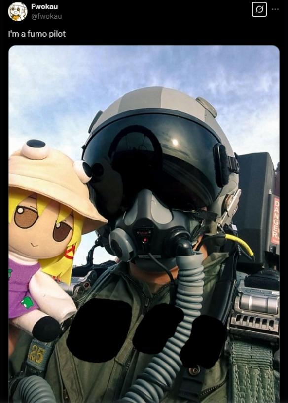 美军飞行员带东方Project玩偶上战斗机,跨次元组合引热议